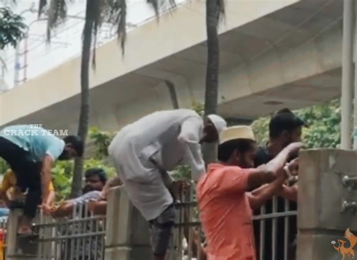 Mission passed. | The Crack Team