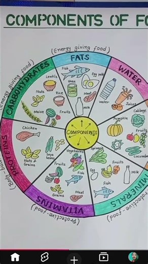 Components of food 🌭🌮🌽🍖🍓🍑🍅🍆🍅🌯🌽🍔