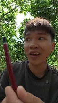 𝐋𝐨𝐧𝐠𝐂𝐚𝐨𝐋𝐚𝐧𝐡 | Cây Bút Mất Tích #longcaolanh #htl #viral #shorts