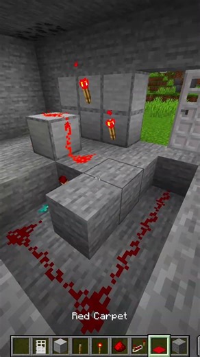 Password door in Minecraft