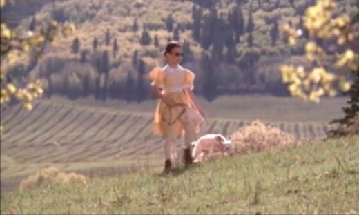 The Fanny Crosby Story