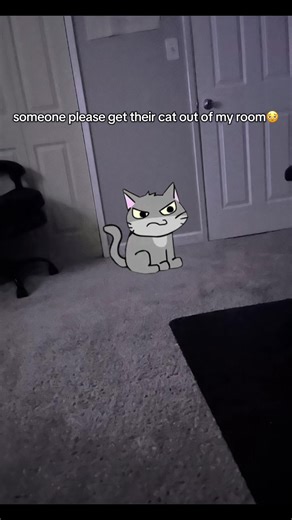 @Beansfr @Greenbeansreal #cat #angry #blockbuster #ipod #alienmyth64 | cat