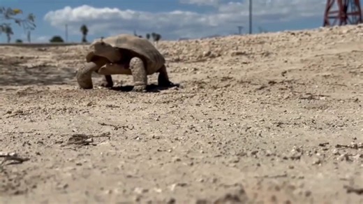 Clark County, Nevada on Reels