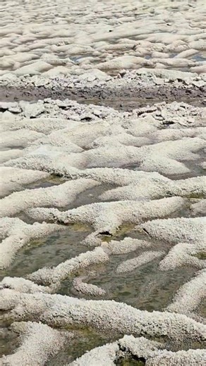 “समुद्र के पानी से आपकी थाली तक — नमक बनने की पूरी प्रक्रिया!” #SaltMaking #NamakKaiseBantaHai #FoodProcess #Education #IndianCuisine #NaturalSalt #HukamSingh1966 #KnowledgeSharing #AwarenessPost #LearningEveryday #sciencefacts | Hukam Singh