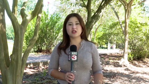 Girard Park pond overrun by duckweed