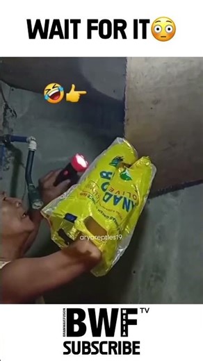 Snake Jumps Out at Guy with Flashlight! 😱🐍