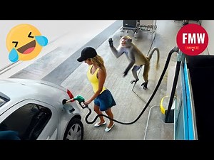 Funny & Hilarious People's Life 😂 #222 - Try not to Laugh | Instant Regret Fails Compilation 2024