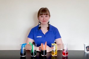 How Do Flowers Drink? - Experiment At Home - Scitech
