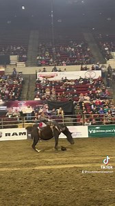 111K views · 3.6K reactions | Come on the trail with us to the NILE! A great start to the year in Billings MT. CINCH JEANS American Hat Company A&K Earth Movers Skiver Bootmakers Logan Coach, Inc. Pendleton Whisky | Powder River Rodeo LLC | Facebook