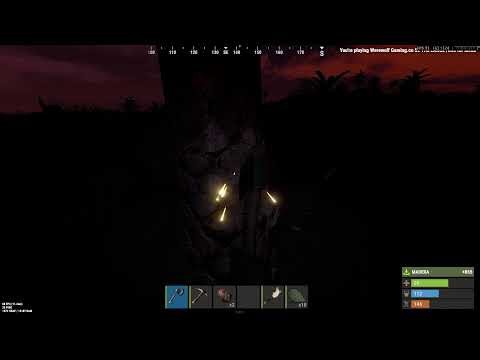 rust server duo