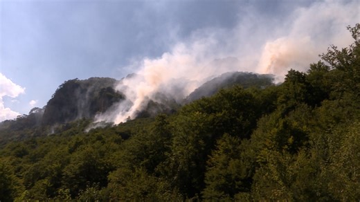 U Nacionalnom parku Sutjeska izgorjela viševjekovna stabla