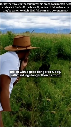 NIGHTMARE FUEL on TikTok