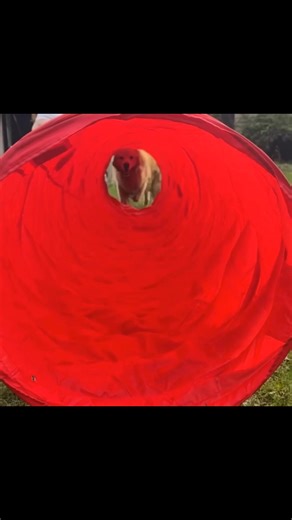 Jessica Anlauf on Reels