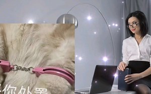 Sheri Vi ：办公场所的独特魅力