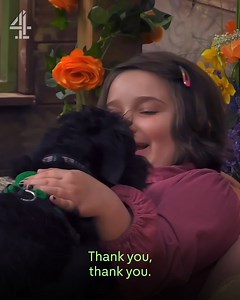 486K views · 4.6K reactions | This is the sweetest puppy we've ever seen | Channel 4 | Facebook