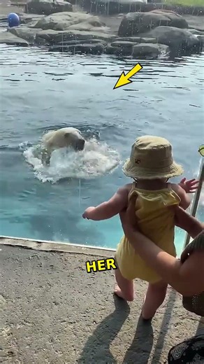 This polar bear just left everyone completely speechless! 🤯⚠️#adorableanimals #polarbears #wildlife