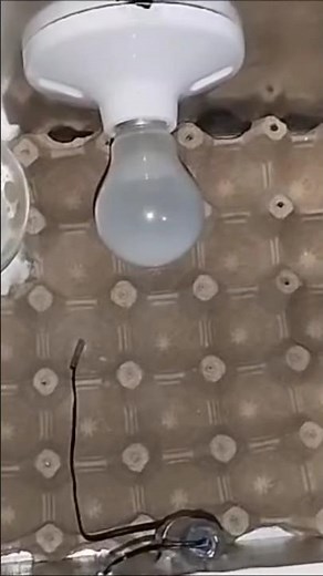 Cómo hacer una incubadora casera