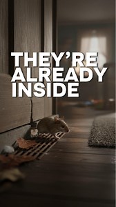 Did you know mice can sneak into your home through openings as small...