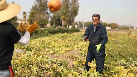 Ornamental Horticulture is one of the most magical programs at the COS Tulare Campus  Hands on learning at the COS Nursery provides students a unique experience to watch their future GROW  | College of the Sequoias | Facebook