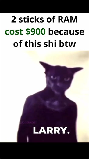 Videoclipul lui Davios (@davios85) despre ram in walmart