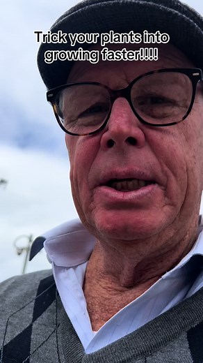 Trick Your Plants into Growing Faster with Pruning Tips