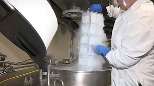 Federal funding cuts threaten Harvard health research ongoing for decades