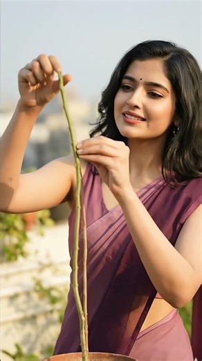 Stop Growing Sticks! 🛑 The "Pinching" Secret for Bushy Plants 🌳 #GardeningShorts