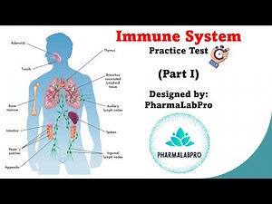 Immune System Quiz | Anatomy & Physiology Review - Part 1
