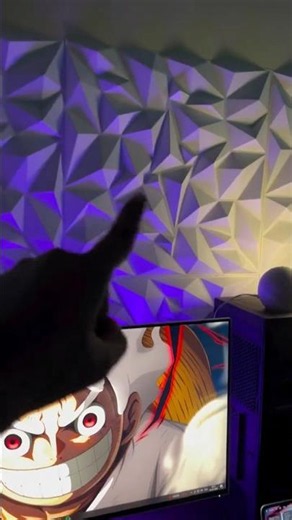 Give your room a makeover in Budget | Amazing cheap wall panel