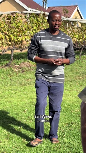 Sani Wines Lesotho: Meet the Only Winemaker and Farm Tasting