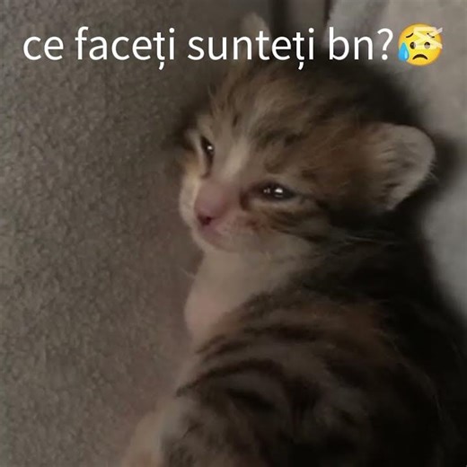 sper că sunteți bn 😥