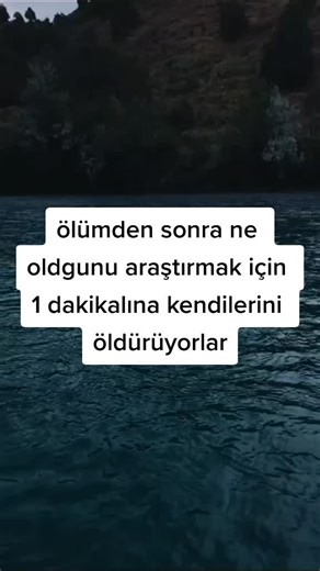 Exploring 'Cizgi Ötesi': Life Reflected in Film