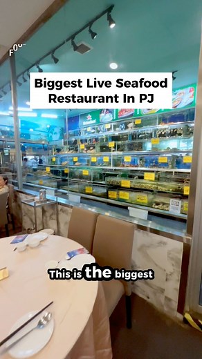 Biggest Live Seafood spot in PJ with over 50 types of live seafood 🦀📍 Unique Seafood | KL Foodie
