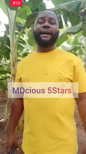 (R13) Master Your Farm Commodity #farminglife #farming | Omoruyi Ephraim Omorodion