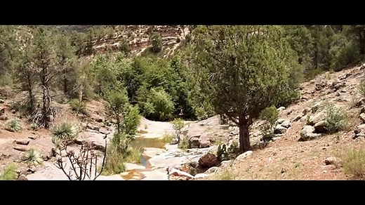 Bride of Violence - Teaser Trailer