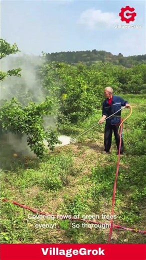 Farmer Spraying Trees with Pesticide: Agricultural Practices