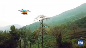 Fort the first times, #drones have been used for the first time to pick Longjing #tea (West Lake dragon well tea), one of China’s most famous teas. The unmanned crafts transport tea leaves to the tea frying center, a journey which normally took pickers over an hour, in less than two minutes. (China Daily) | China Daily