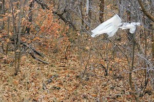 Managing Your Trash on the Go from Trail to Camp