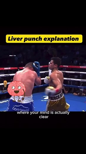 The Liver punch and what a Boxer goes through when getting punched in the liver. #liverpunch #bodyshot #livershot #boxing #knowledge #boxeo #ryangarcia #canelo