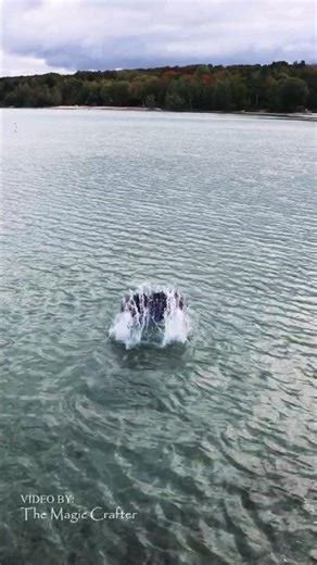 A mermaid seen swimming on an October day 🍂