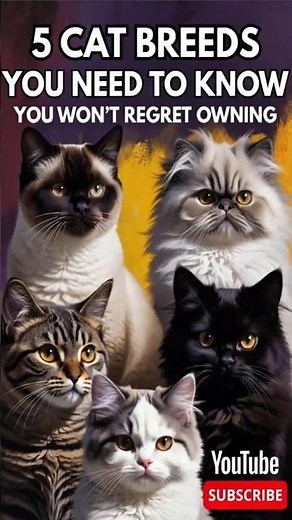 5 CAT BREEDS You Need to Know — Feline Facts & Unique Traits... #shorts #cats