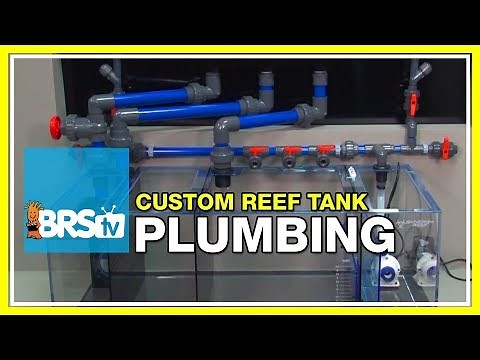 Week 5: Plumbing, Overflows, and Return Pumps | 52 Weeks of Reefing