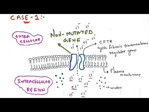 Cystic fibrosis | CFTR gene mutation | Molecular mechanism | Bio science