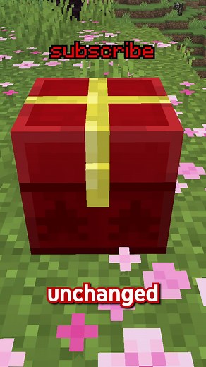 Everything you DONT KNOW about Christmas in Minecraft