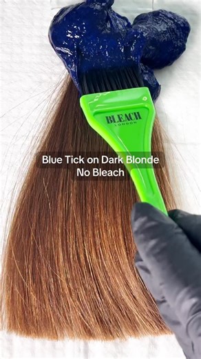 BLEACH on Instagram: "Blue Tick semi-permanent colour on dark blonde hair, no bleach"