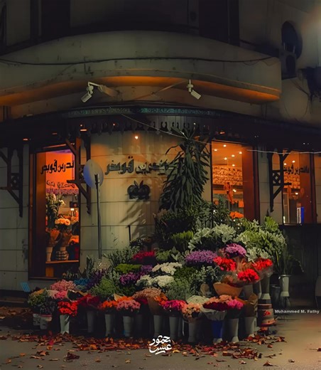 26K views · 1.1K reactions | ♡︎♡︎ | Mahmoud Essa | Facebook