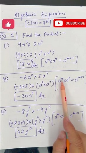 Class 8 Mathematics: Algebraic Expressions and Identities
