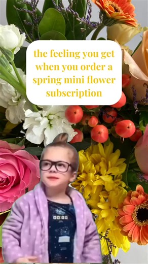 Spring Mini Floral Subscriptions are available now for a limited time! 🗓️ A mini subscription gets you three flower deliveries spaced two weeks apart, all with fresh, seasonal spring flowers. It's the perfect way to welcome a new season! #flowersubscription #springflowers #springdecor #floristsoftiktok #CapCut