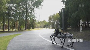 [时尚科技秀]“蜘蛛”机器侠