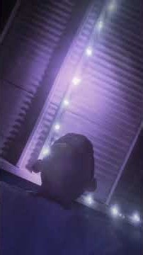 This is how you use a mini fountain firework